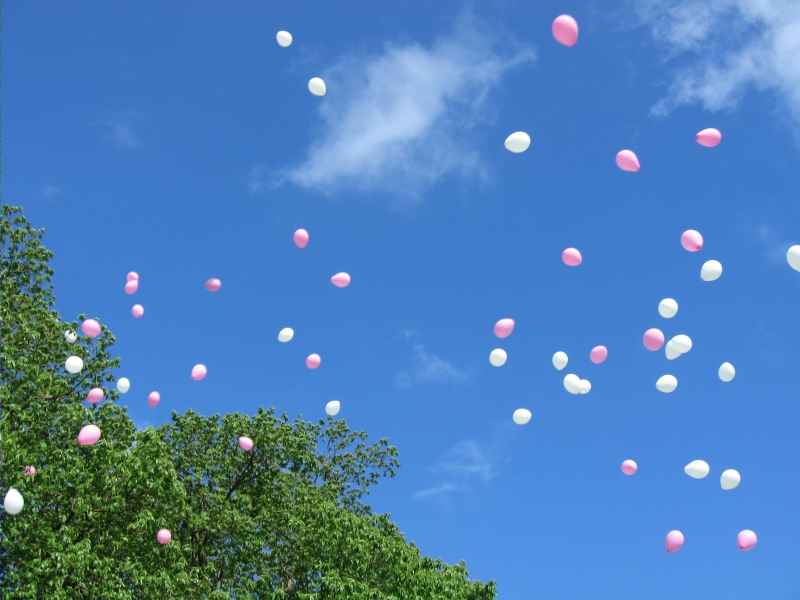 Balloons in the sky