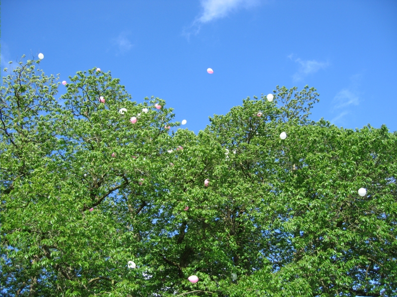 Balloons in the sky