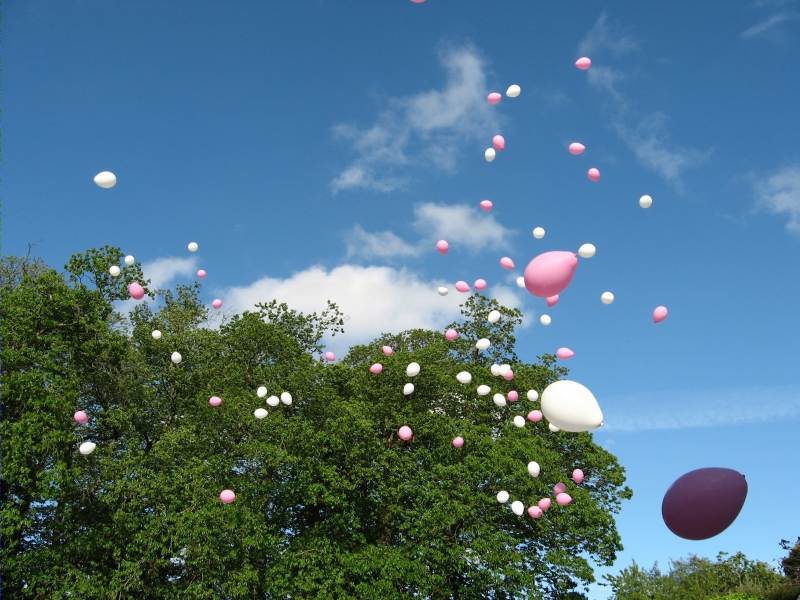 Balloons in the sky